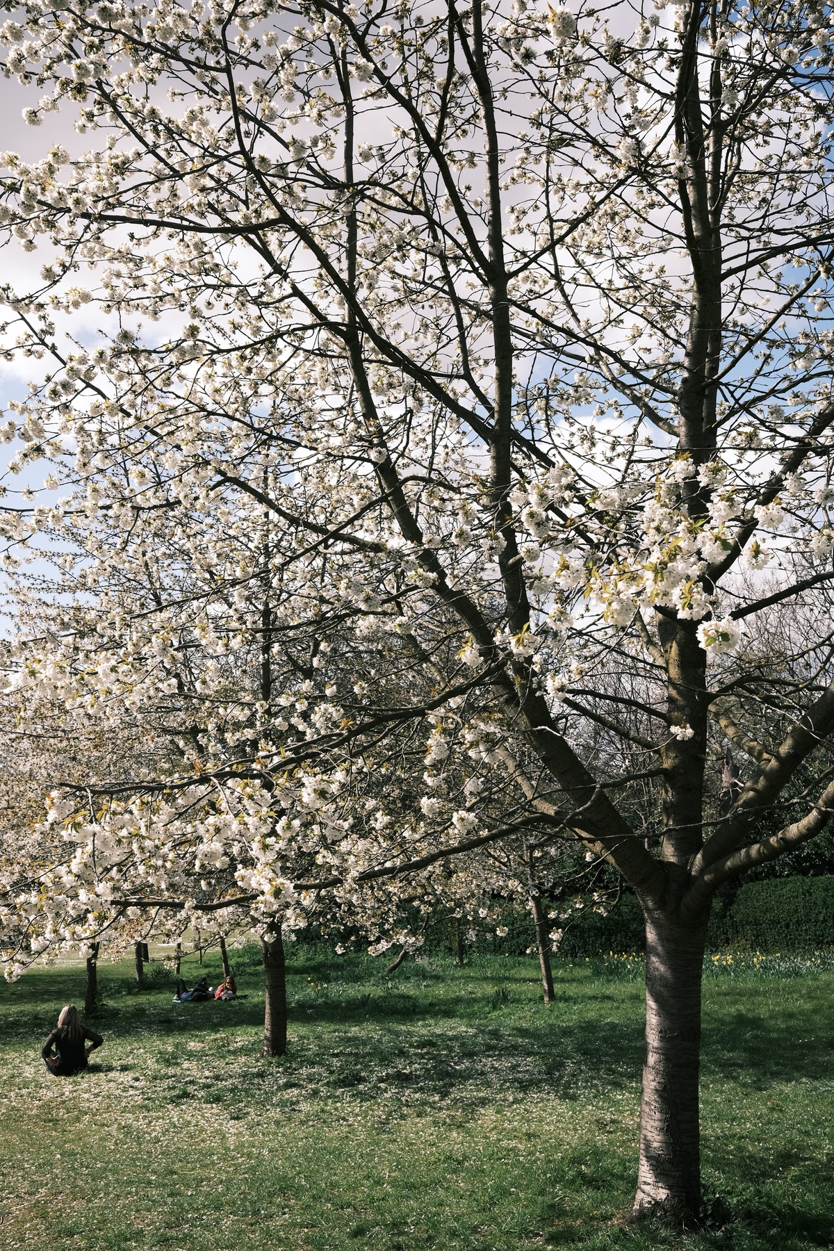 DSCF0149.JPG