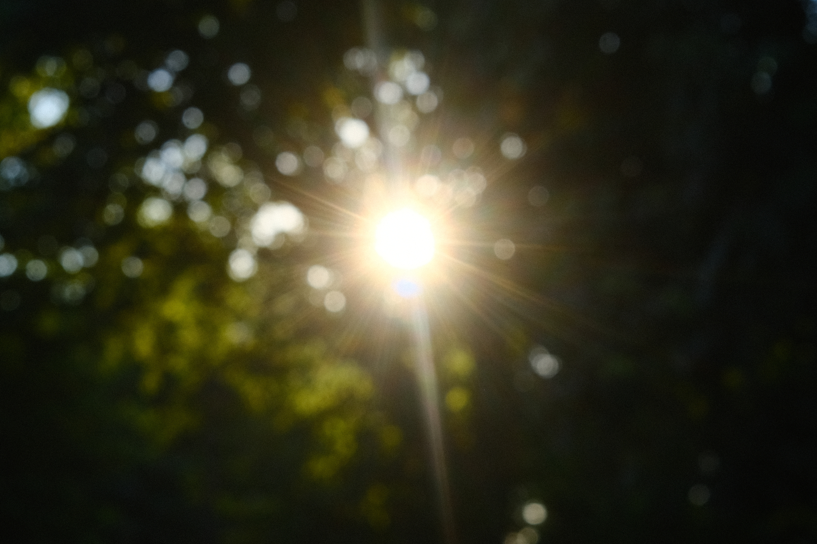 DSCF7998.JPG