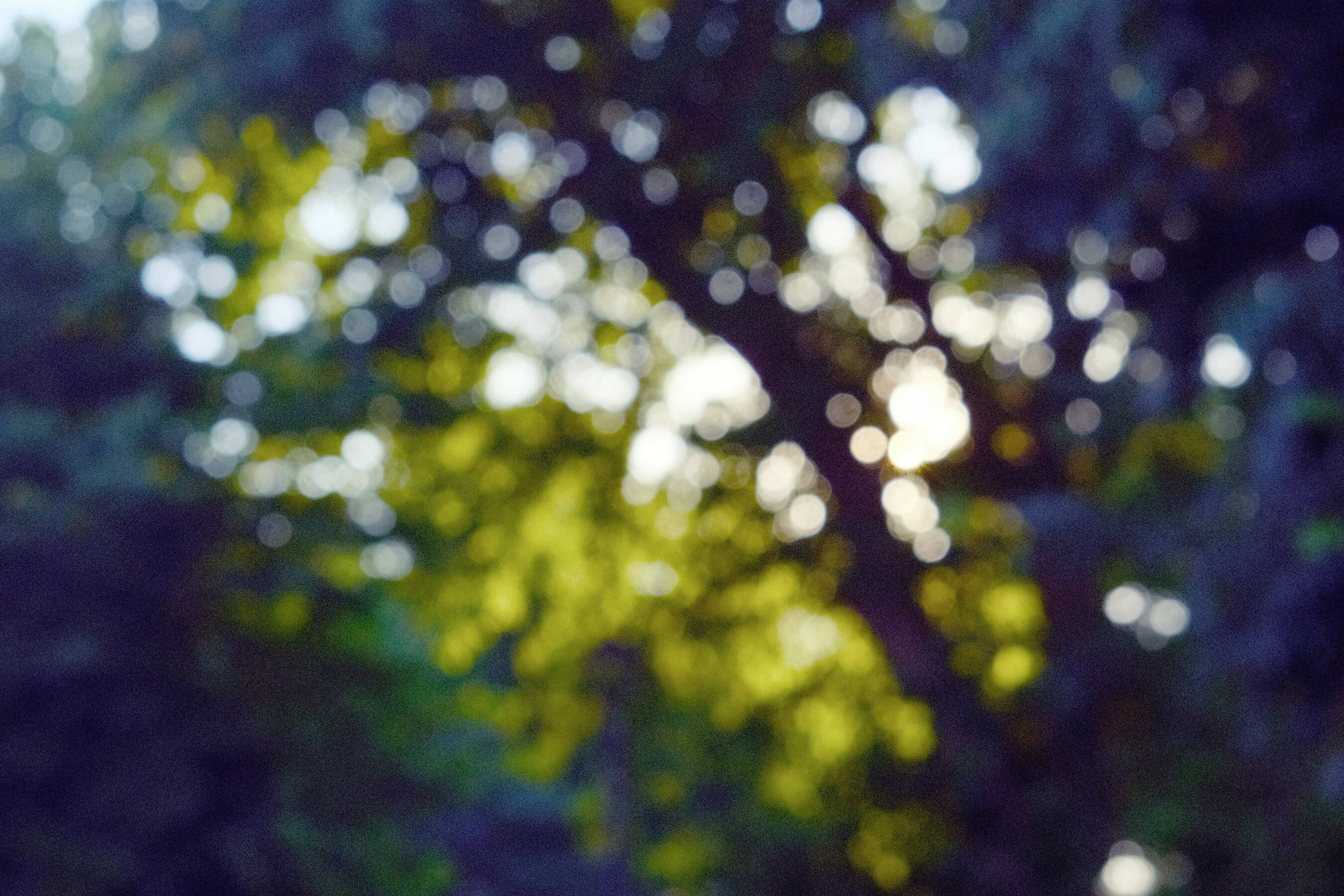 DSCF8001.JPG