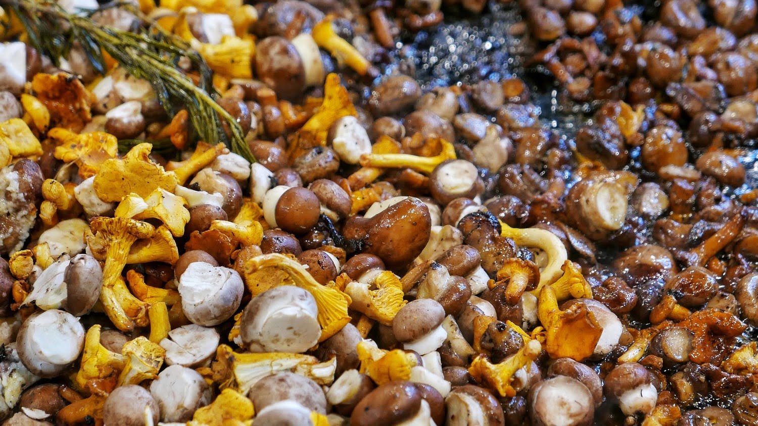 Fried-Wild-Mushrooms.jpg